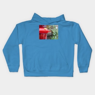 Refreshment Kids Hoodie